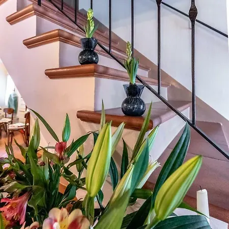 La Del Povero Diavolo 3*