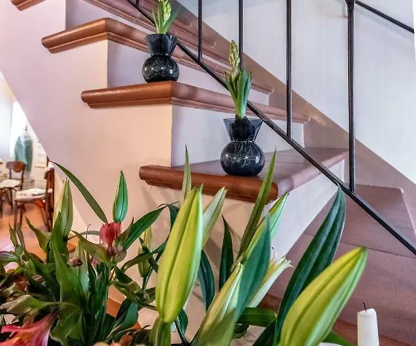 La Del Povero Diavolo 3*